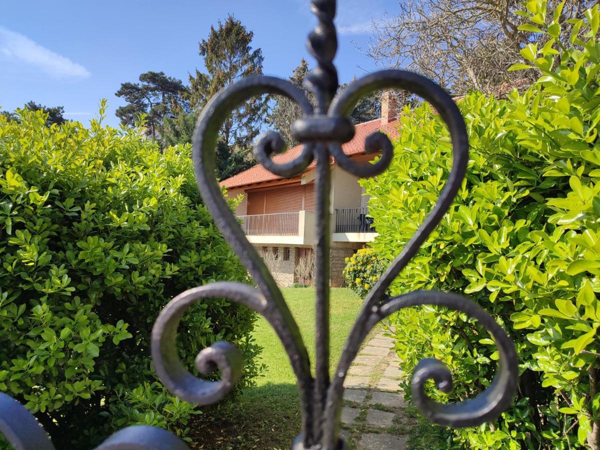 טיהאני Dorka Villa מראה חיצוני תמונה
