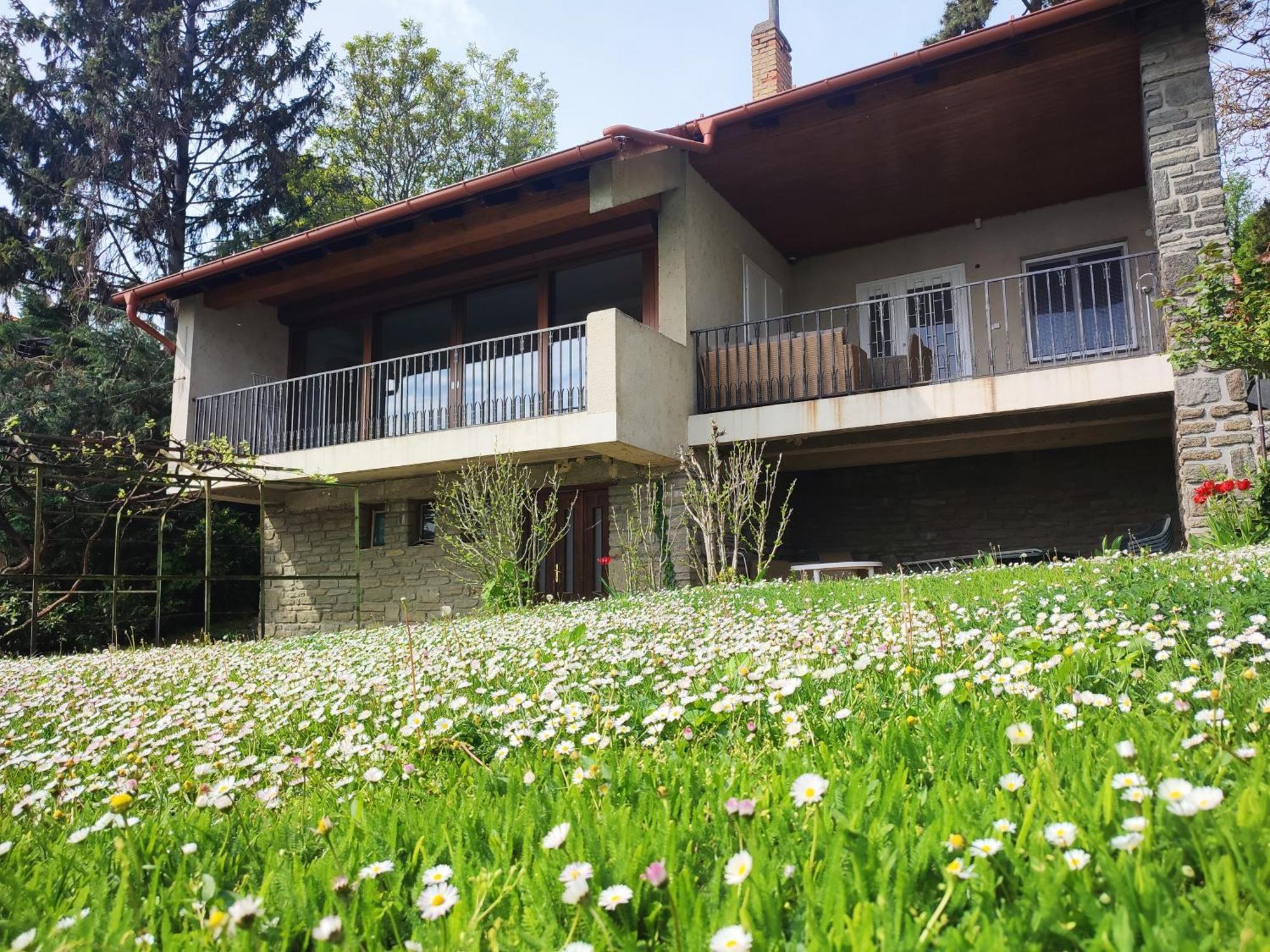 טיהאני Dorka Villa מראה חיצוני תמונה